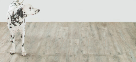 クロス・床張り替え